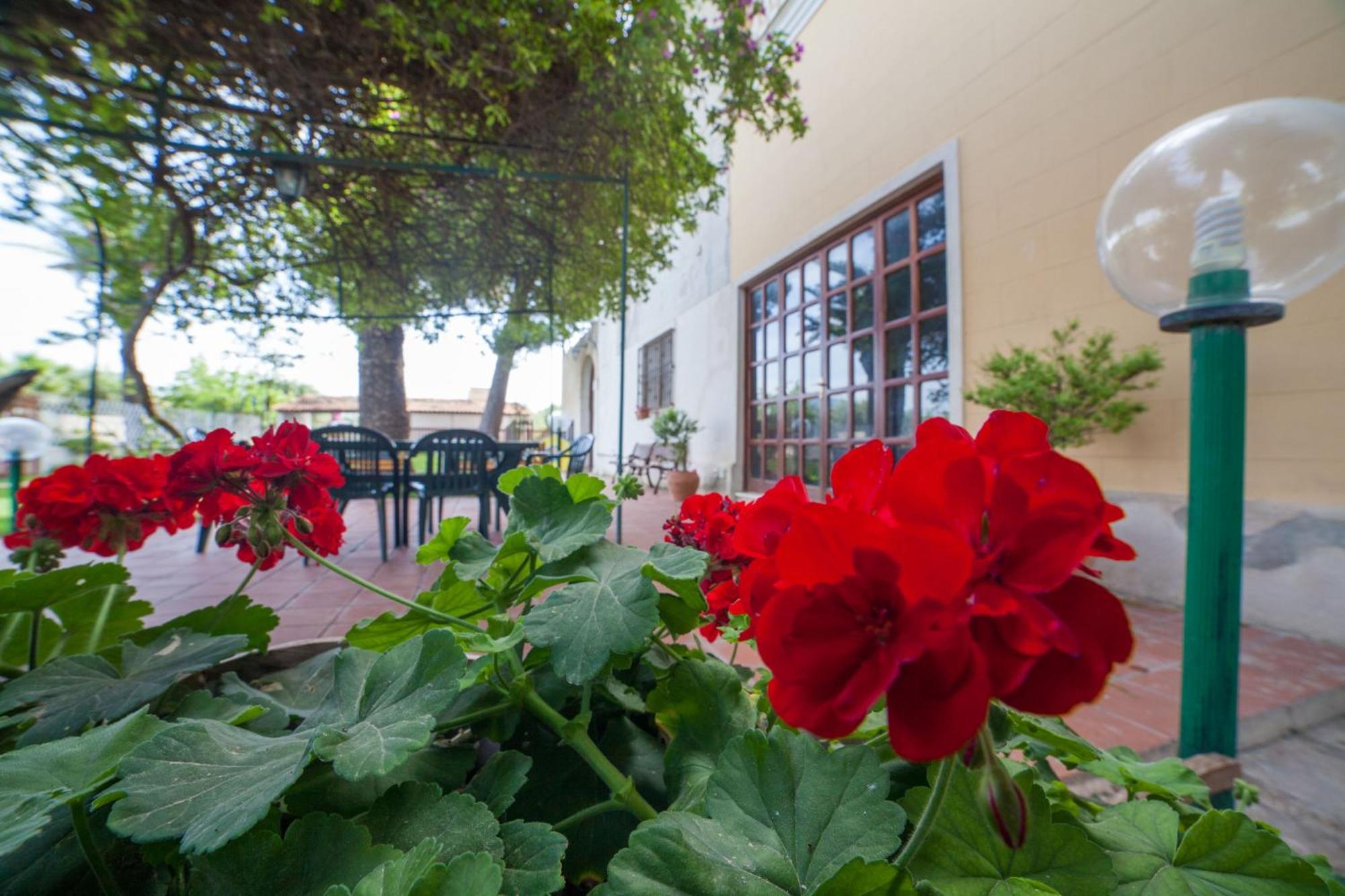 Villa Amodeo Paceco Exterior foto